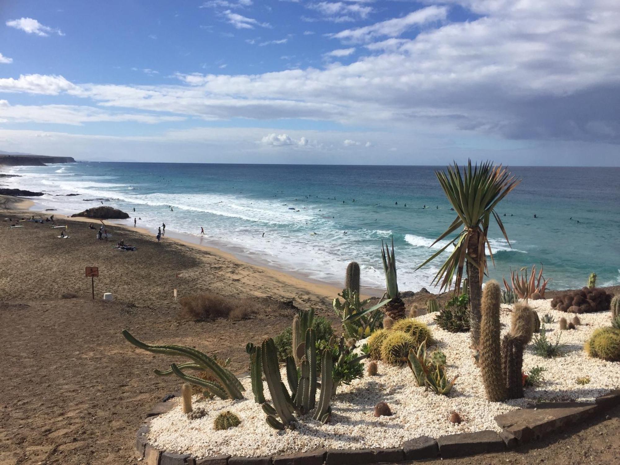 Beach House With The Heated Pool Next To Rocky Point コラレホ エクステリア 写真